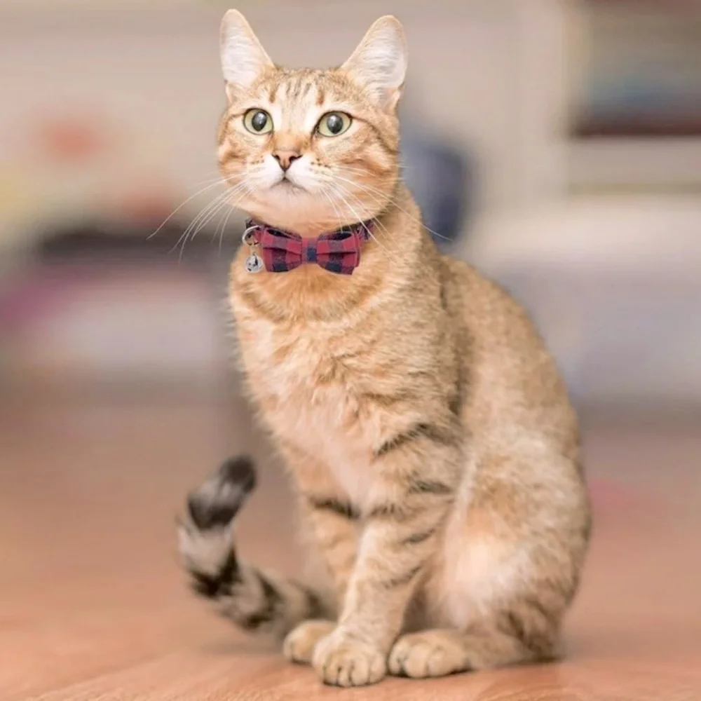 Cat & Dog - 3Collar Bow Ties /And Safety Buckle /Plaid, Necklace Collar